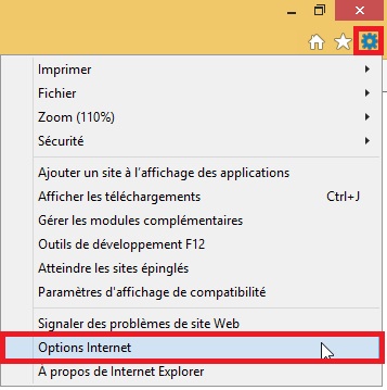 KB Langue ikic IE barre.JPG